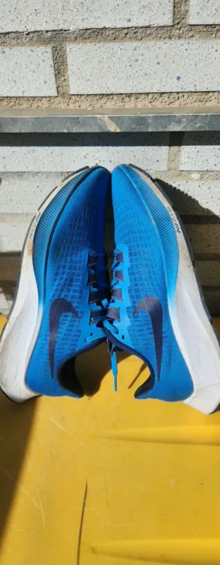 Nike Pegasus Azul