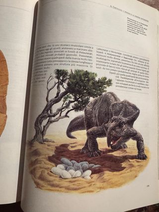 I dinosauri Misteri svelati e nuove incognite