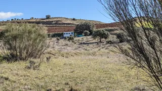 Terreno con caseta