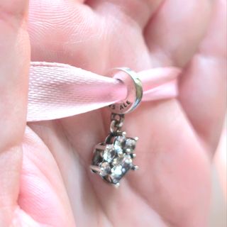 CHARM HUELLA MASCOTA PERRITO MASCOTA