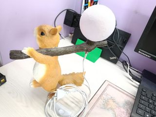 Lampada da tavolo comodino forma scoiattolo resina