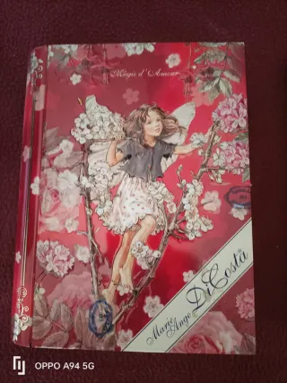 2 Latte a forma di libri