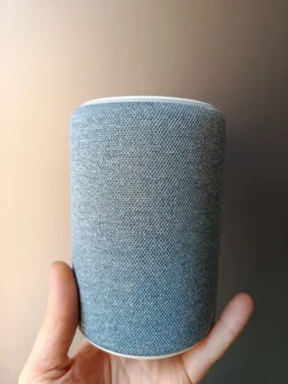 Amazon Echo Plus 2ª Gen Grigio