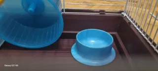 Jaula grande para hámster con tubos transparentes