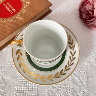 Taza y plato Limoges France porcelana lujo