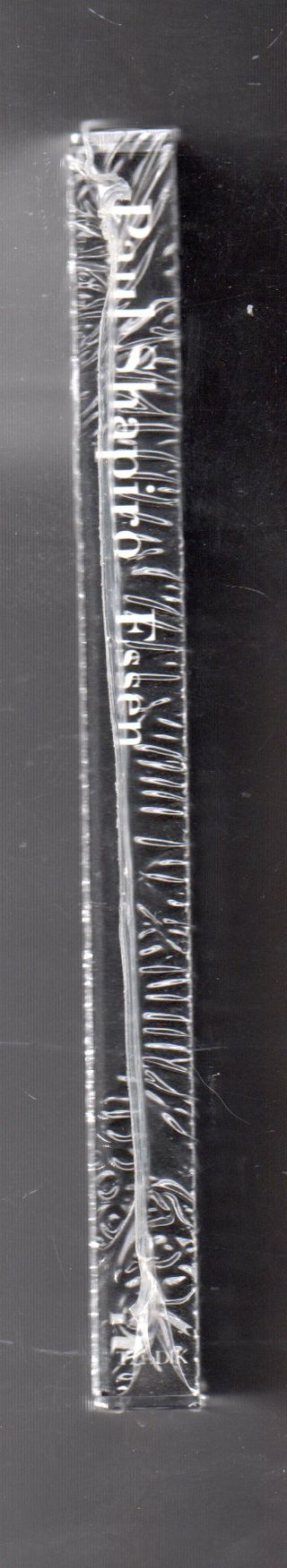 Paul Shapiro Essen cd  Tzadik