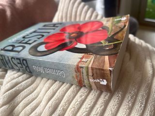 La Bestia:Novela galardonada con el Premio Planeta