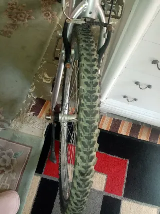 Bicicleta Giant de montaña plateada