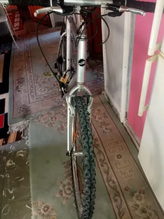 Bicicleta Giant de montaña plateada