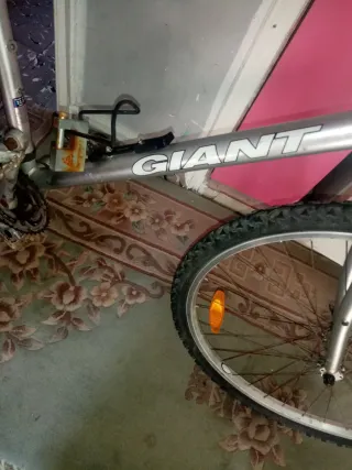 Bicicleta Giant de montaña plateada