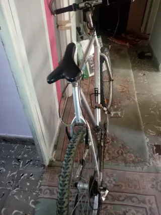 Bicicleta Giant de montaña plateada