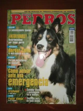 Lote 24 revistas VIAJES de NATIONAL GEOGRAPHIC