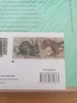 Roedores | Cuerpo de embarazada sin embrión