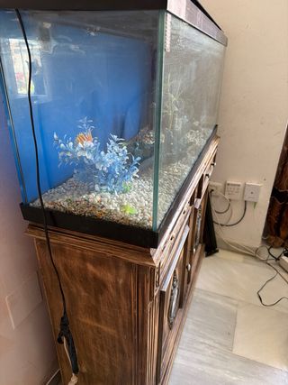 Acuario 102cm con mueble