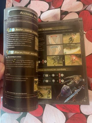 Manual The Legend of Zelda Wii