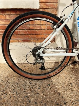 Bici Orbea Veneto Zeus Talla M