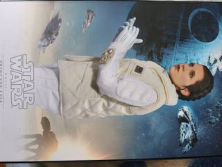 Star Wars Hot Toys Figura