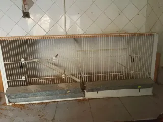 Jaula cría pájaros 1,20m