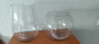 Oggi solo: 2 vasche per pesci in regalo con l'acquisto di una