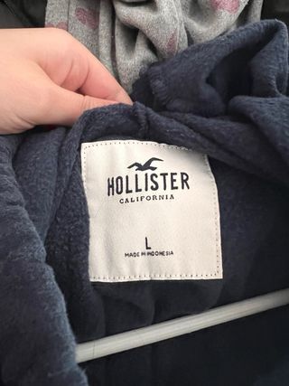 Sudadera Hollister