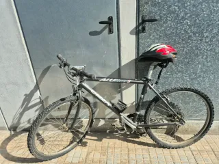 Bicicleta Orbea ALULINE BTT