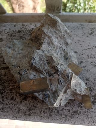 Pirite cubica di Navajun su matrice