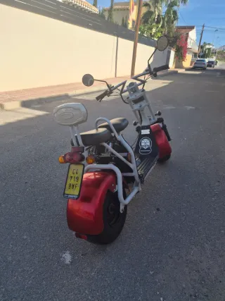 Citycoco matriculada y con seguro