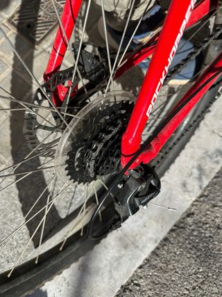 Bicicleta Specialized Rockhopper 29