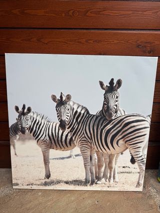 Quadri decorativi con zebre e paesaggi