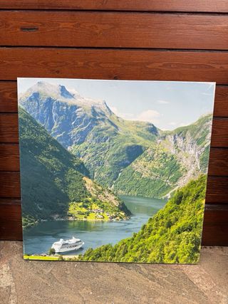 Quadri decorativi con zebre e paesaggi