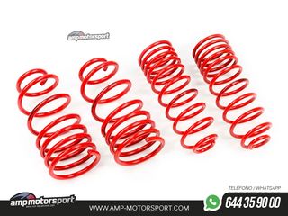 MUELLES DEPORTIVOS MTS TECHNIK MTSXVW140