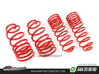 MUELLES DEPORTIVOS MTS TECHNIK MTSXSE139