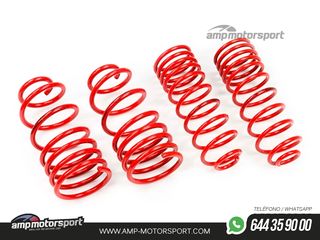 MUELLES DEPORTIVOS MTS TECHNIK MTSXTO006