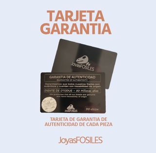 Fósil Sauropodo Ref: S-022 con peana