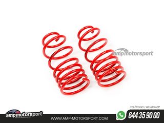 MUELLES DEPORTIVOS MTS TECHNIK MTSXPE098