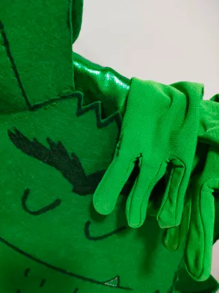 Disfraz Monstruo de la calma.monstruo de colores