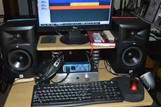 Monitores Profesionales JBL LSR305