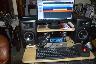 Monitores Profesionales JBL LSR305