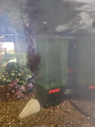 Pecera 100L con mueble