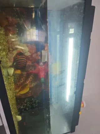 Pecera 100L con mueble