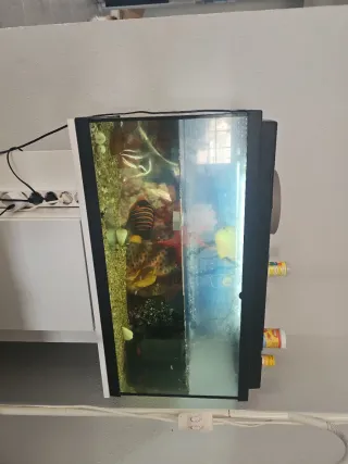 Pecera 100L con mueble