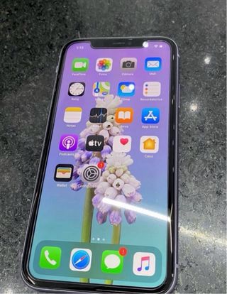 iPhone 11 Viola
