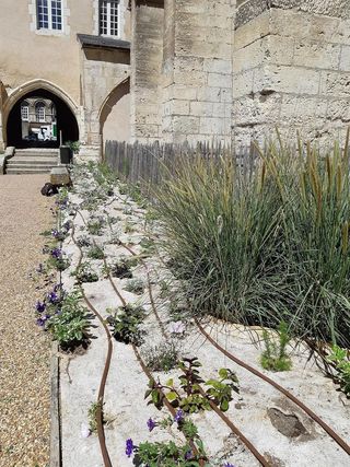Grapas con Relleno de Acero Bruto