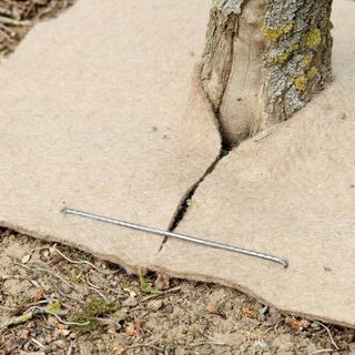 Grapas con Relleno de Acero Bruto