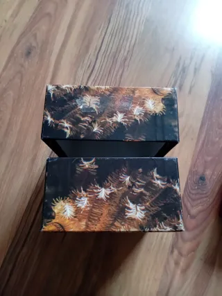 Caja Rolex Lady Datejust Años 90