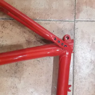 Cuadro Bicicleta Losa