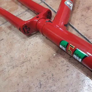 Cuadro Bicicleta Losa