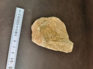 Fósil Dinosaurio Sauropodo S-024