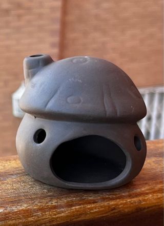 Casa Seta Acuario y Gambario Neutra