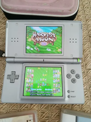 Nintendo DSi argentata